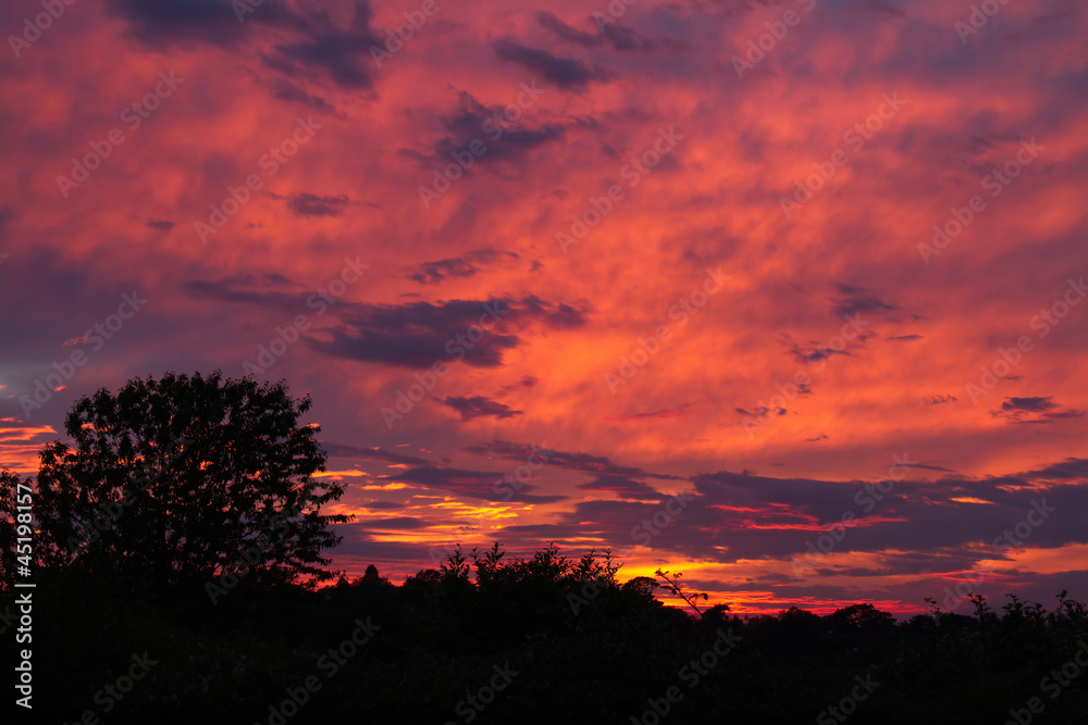 Fototapeta premium Summer Sunset