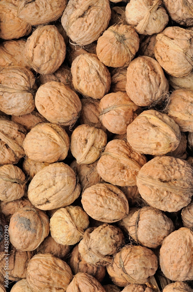 Macro background with a lot of fresh walnut. Macro background with a lot of fresh walnut.