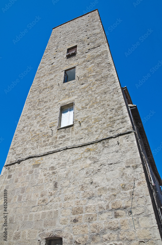 Borgognone tower. Viterbo. Lazio. Italy.
