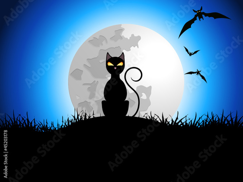 Halloween cat