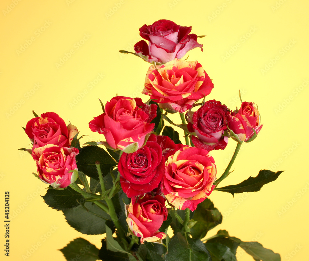 Bouquet of beautiful roses on yellow background close-up