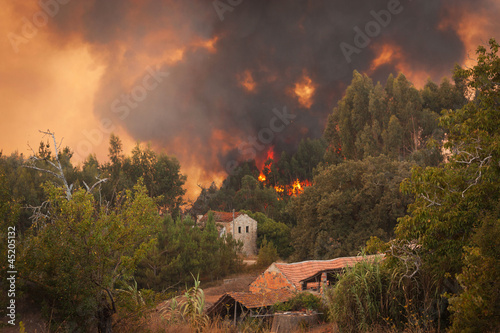 Forest Wild fire near houses on Portugal Summer photo