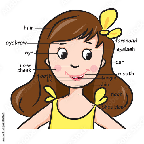Cartoon child. Girl. Vocabulary of face parts.
