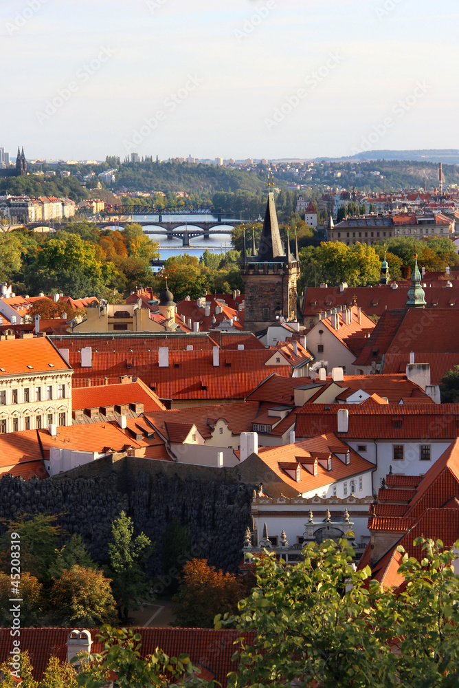 Obraz premium Prague bridges