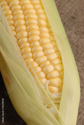 corn cob