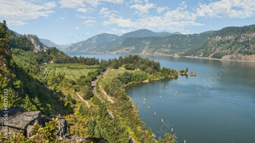 Vineyard & Orchards in Columbia River Gorge photo