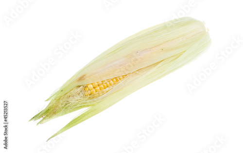 Fresh raw corn cob isolated on the white