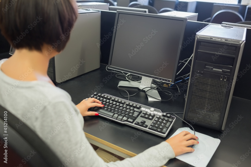 Woman using the computer Woman using the computer