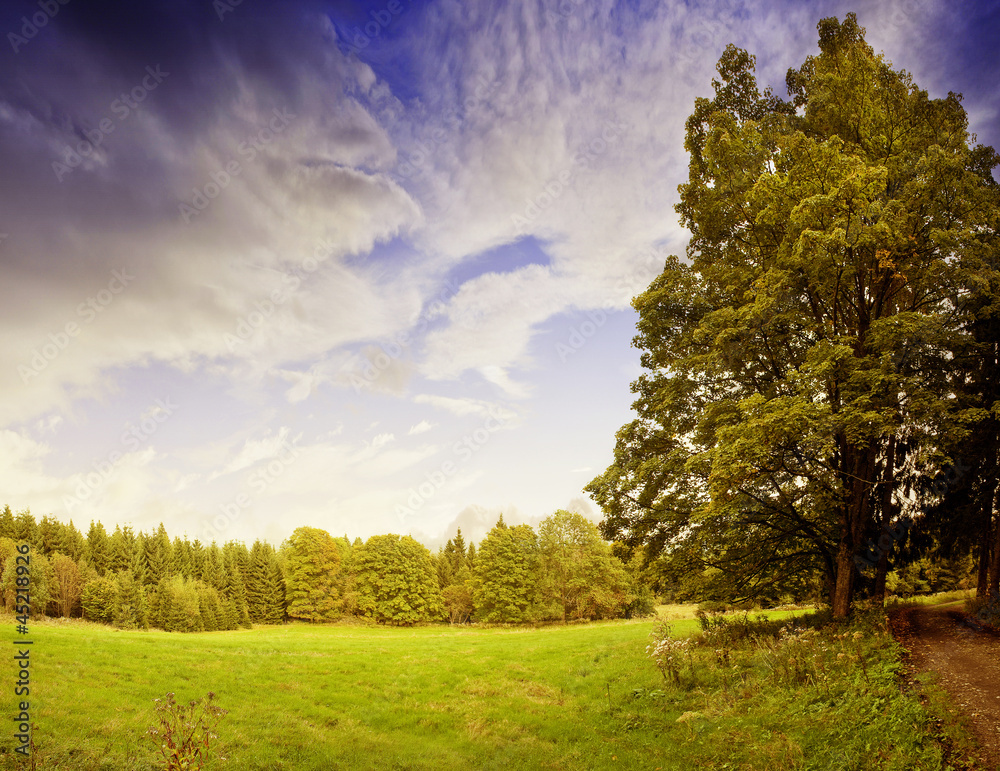 Fototapeta premium autumn landscape in vintage style