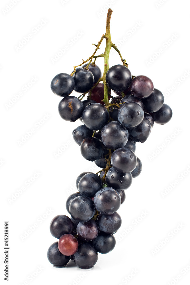 Blue grape Blue grape