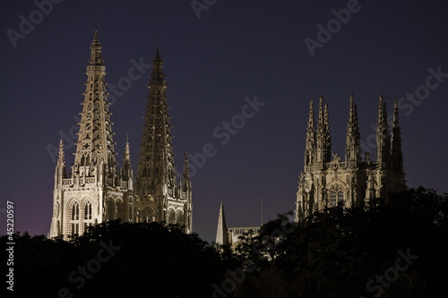 Quadro su tela Catedral de Burgos al anochecer