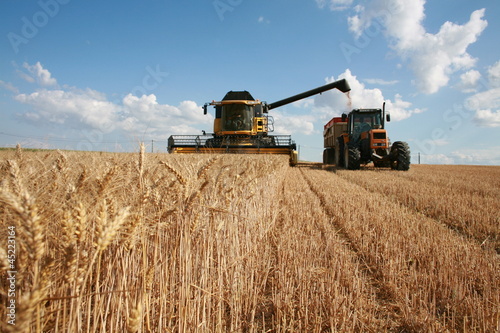 Canvas Print Récolte du blé :  moissoneuse et tracteur