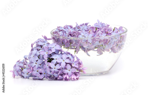 lilac flowers in a glass bowl
