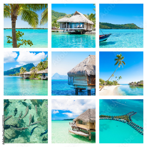 Mosaic of paradise photos