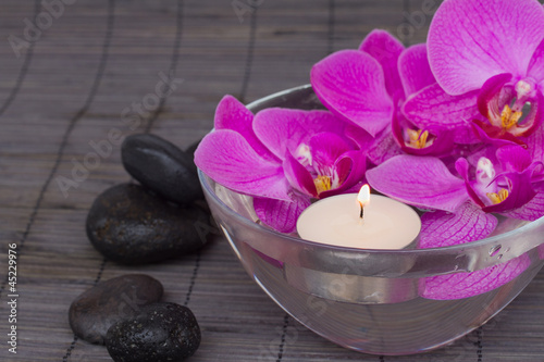 orchids with candels