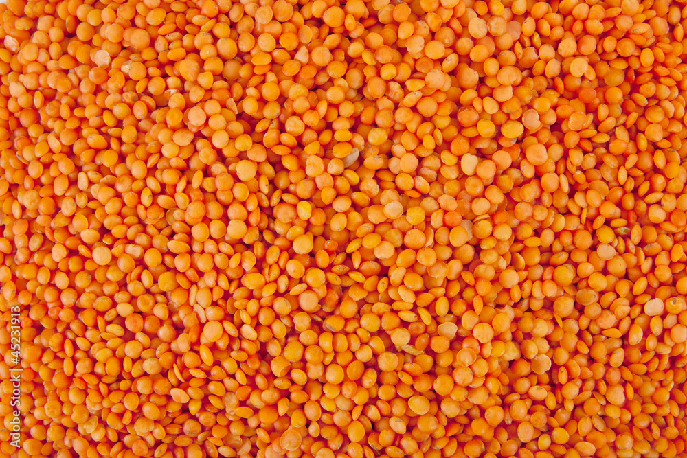 lentil lentil