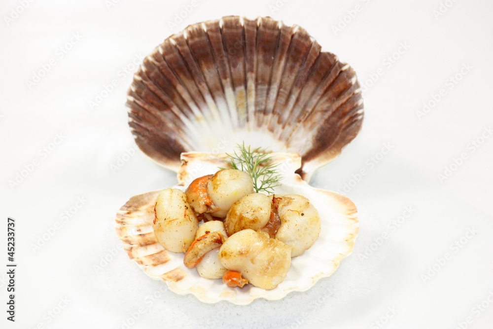 coquille saint-jacques coquille saint-jacques