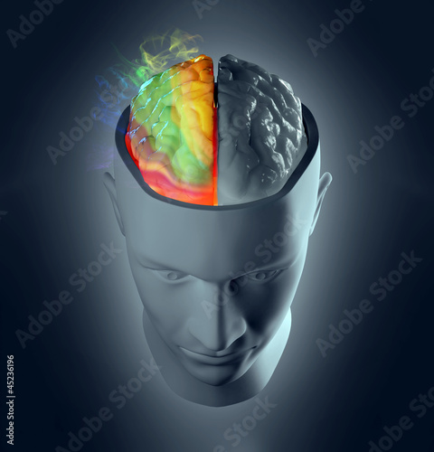 Creativity cerebral hemisphere concept photo