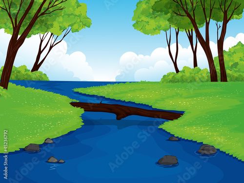 beautiful landscape
