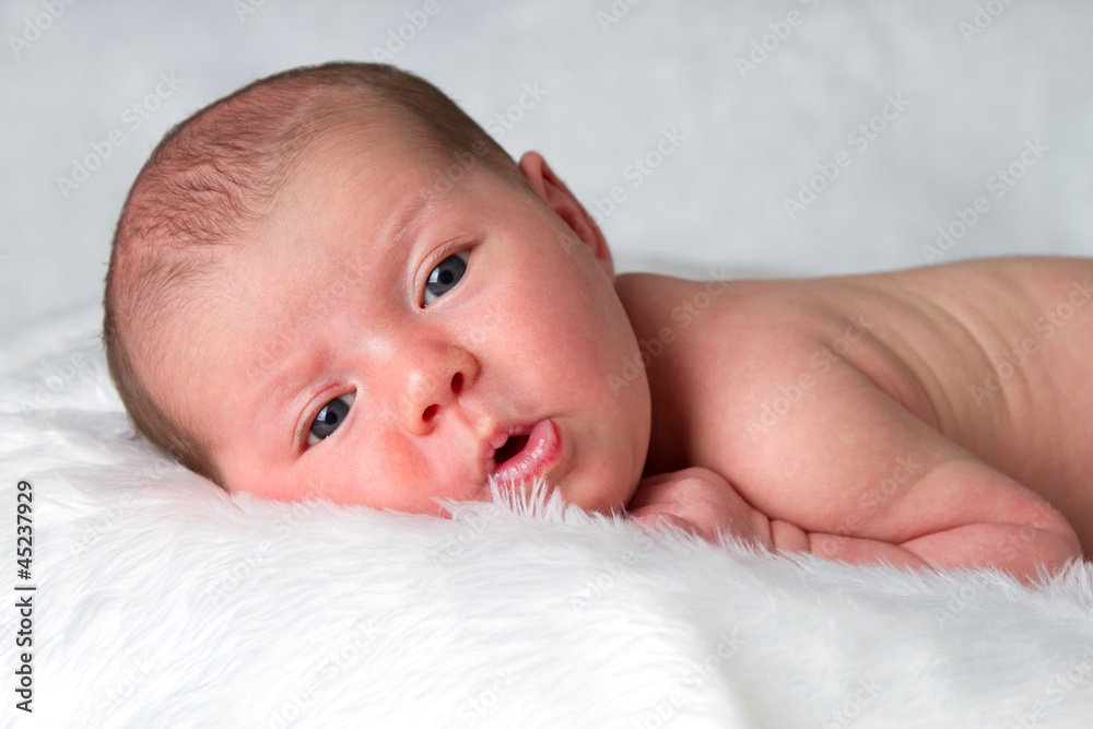 Newborn baby layong on belly looking peacefully at camera Newborn baby layong on belly looking peacefully at camera