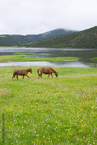 Shudu Lake scenery, Yunnan China. © cityanimal