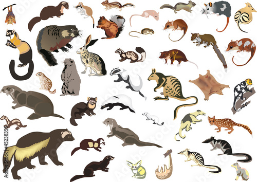 large collection of small animals