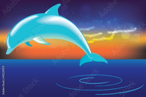 dolphin jumping out of water