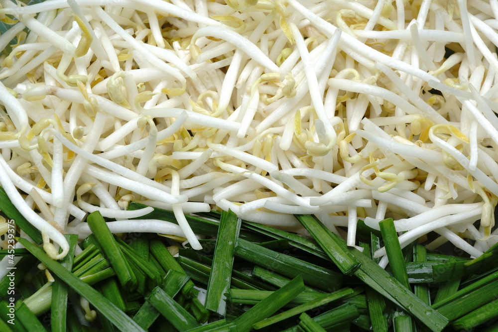Vegetables, Bean Sprouts and Chinese leek