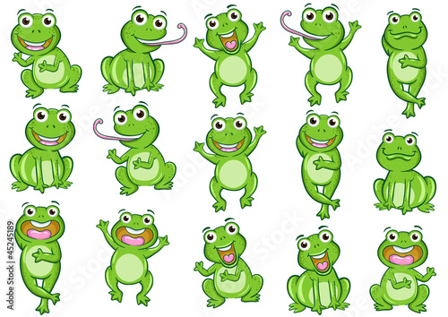 frog