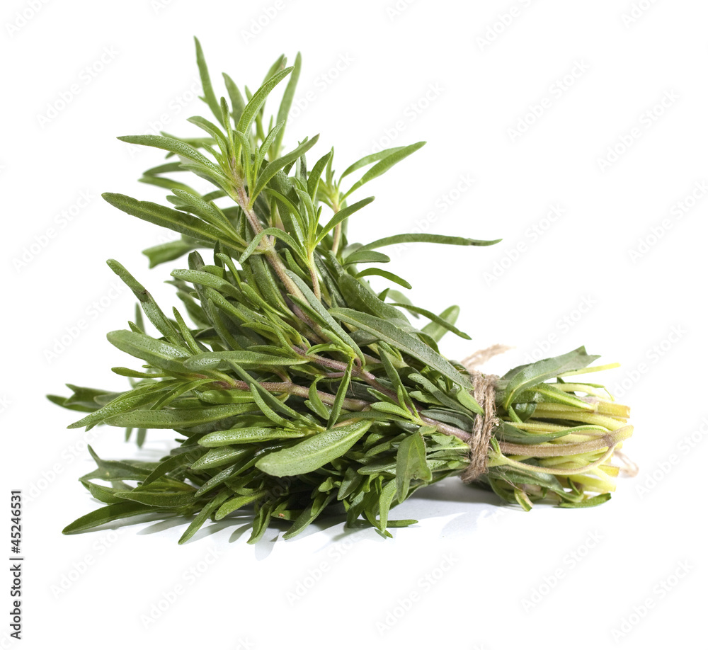 Rosemary bunch on the white background Rosemary bunch on the white background