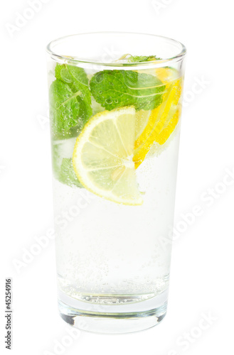 Club soda with lemon and mint