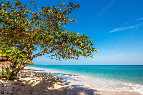 Fototapeta Naklejka Na Ścianę i Meble -  Exotic tropical beach.