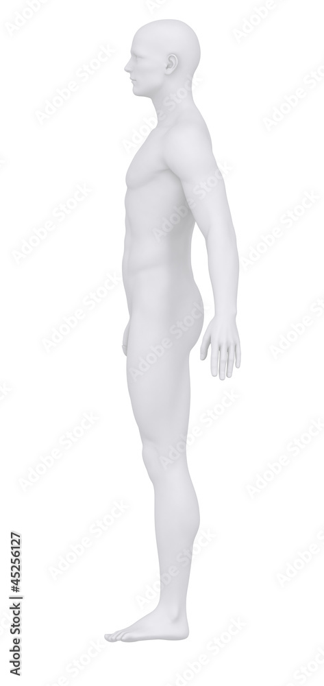 Male body in anatomical position lateral view clipping path Male body in anatomical position lateral view clipping path