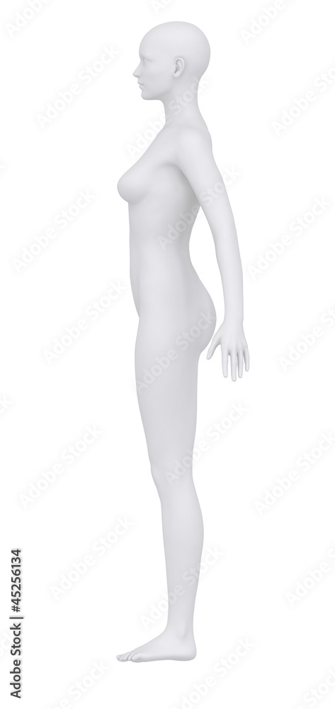 Female body in anatomical position lateral view clipping path Female body in anatomical position lateral view clipping path