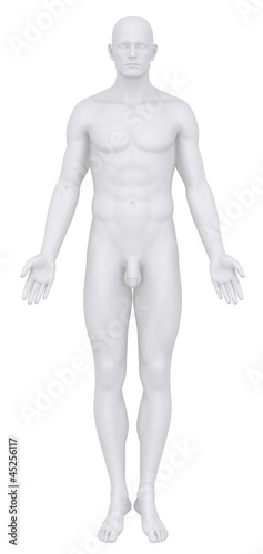Male body in anatomical position anterior view clipping path