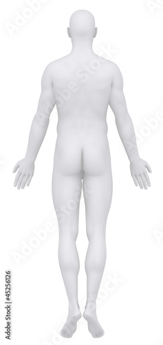 Male body in anatomical position posterior view clipping path