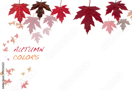 Autumn Colors with Text