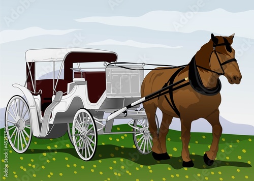 horse carriage