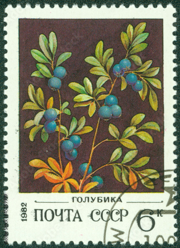 stamp printed in USSR (Russia) shows a Wild berries