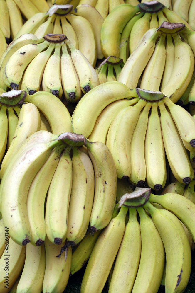 Tropical bananas background