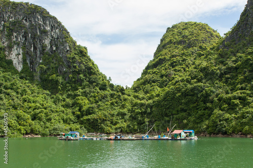 Floating fisherman's village in ha long bay