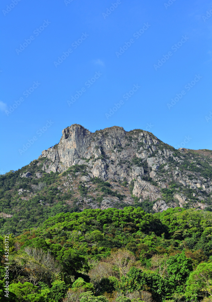 Lion Rock Lion Rock