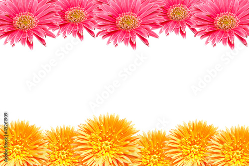 Flower background