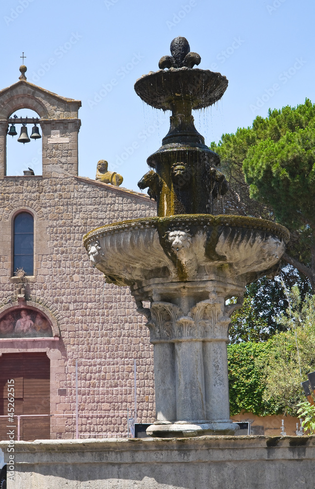 Monumental fountain. Viterbo. Lazio. Italy.