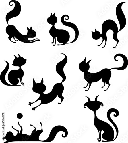 cat set