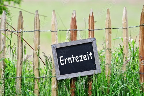 Erntezeit