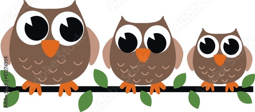three brown owls