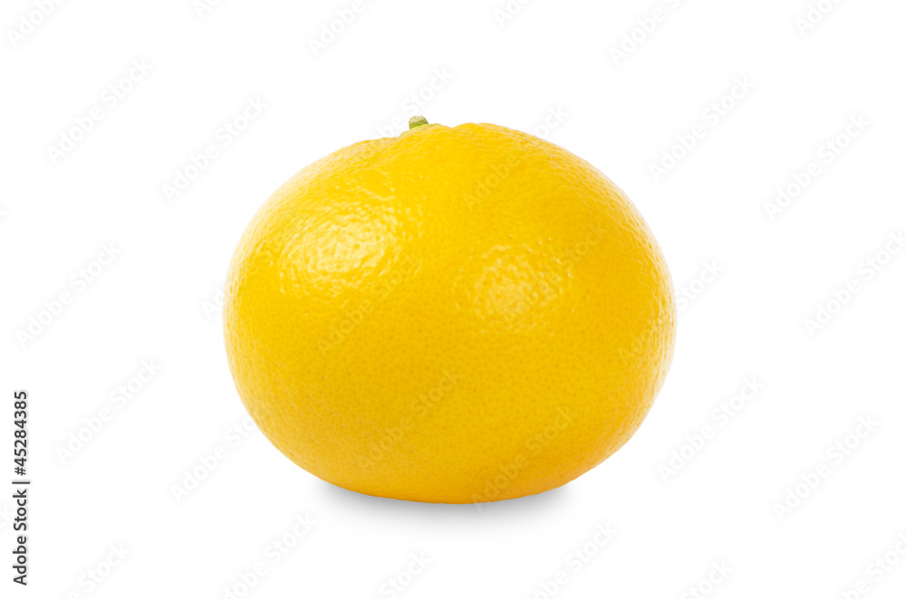 Grapefruit Grapefruit