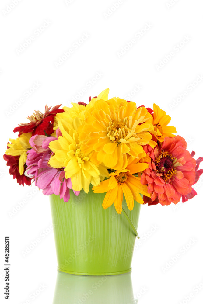 bouquet of beautiful summer flowers in bucket, isolated on