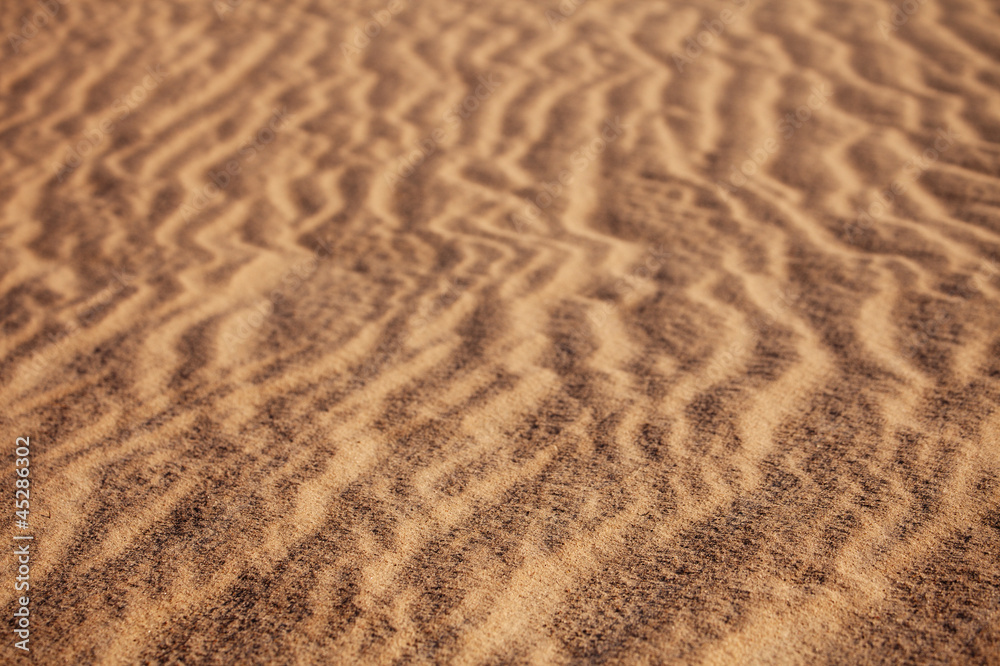 abstract sand background with sunlight and grass in desert abstract sand background with sunlight and grass in desert